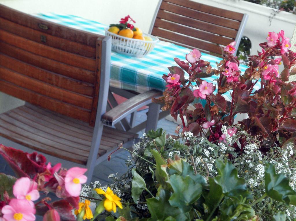 Apartmani Delfin Grebaštica Exterior foto